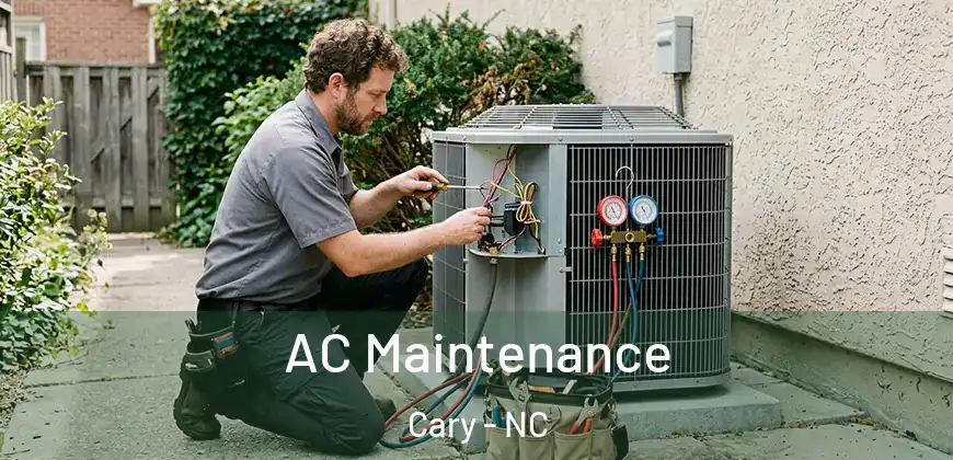 AC Maintenance Cary - NC
