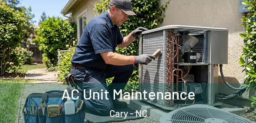 AC Unit Maintenance Cary - NC